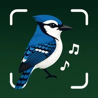 Bird Identifier AI Bird Guide icon
