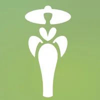 Dressy - AI Clothing Try-On icon