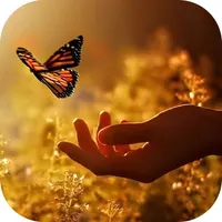 Inspirational Life Quotes icon