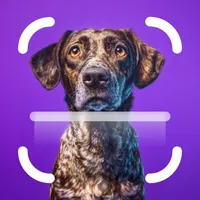 My Dog Breed Identifier icon