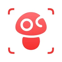 Mushroom Identifier: Fungify icon