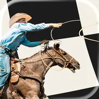 Rodeo - Save it. Do it. icon