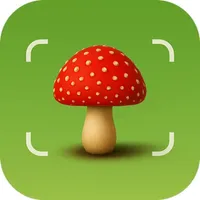 Picture Mushroom Identifier AI icon