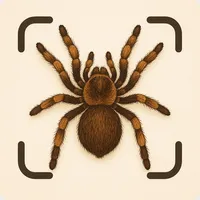 Spider Identifier: Insect ID icon