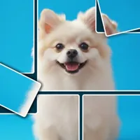 Jigsnap Collections icon