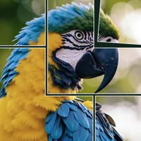 Jigsaw Puzzle Art: Relax Book icon