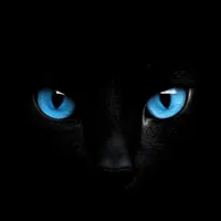 Dark Amoled Wallpaper 4K icon