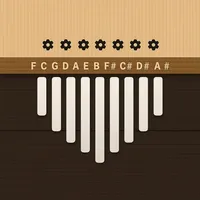 Array Mbira Instrument icon