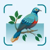 Bird Identifier: Parrot-Pigeon icon