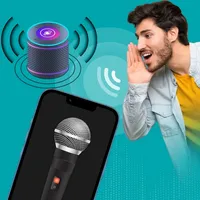 Mic to Speaker - Megaphone icon