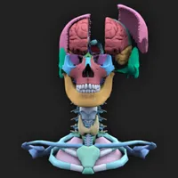 The Brain AR App icon