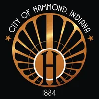 Hammond 311 icon