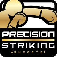 Precision Boxing Coach Pro icon