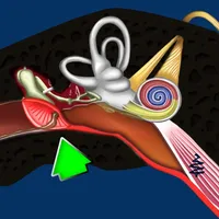 Otitis Media Disorders icon