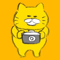 Stray Cats Camera icon