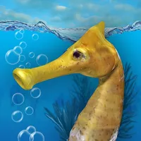 Seahorse 3D icon