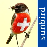 All birds CH - photo guide icon