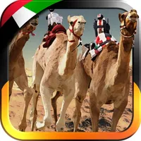 3D سباق الهجن - UAE Camel Racing icon