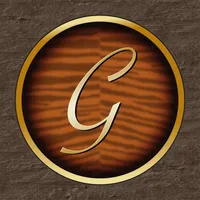 Guitar Tuner TN-1G icon