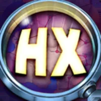 Hidden Express icon