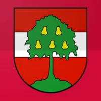 Schau auf Dornbirn icon