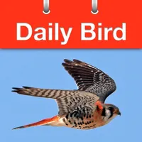 Daily Bird - the beautiful bird a day calendar app icon