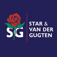 svg icon