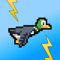 Zappy Duck icon