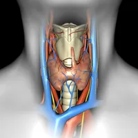 Thyroid Navigator icon