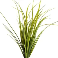 Montana Grasses icon