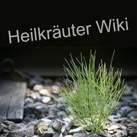 Heilkräuter Wiki icon