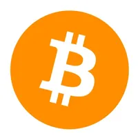 Bitcoin White Paper icon