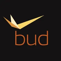 BUD Airport icon