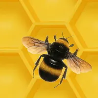 Honeycomb Heist icon