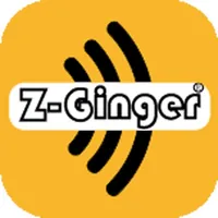 ZGinger Mini icon