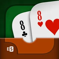 Crazy Eights + icon