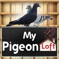 My Pigeon Loft HD icon