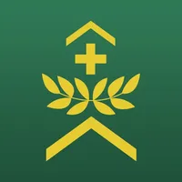 Swiss Armed Forces Insignia icon