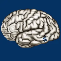 Cerebrum ID icon