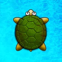 Turtle Surfer icon