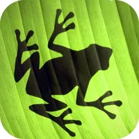 Jumping Frog Strategy icon