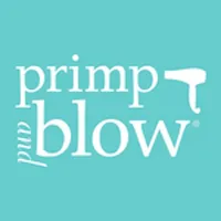 Primp and Blow icon