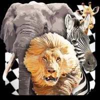 Savanna Race icon