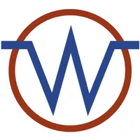 Wise Electric icon