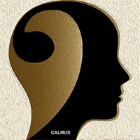 CalmusPlay icon