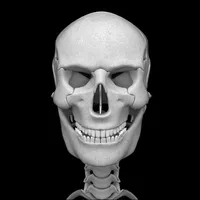 Bones 3D (Anatomy) icon