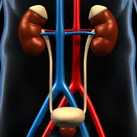 Genitourinary System Trivia icon