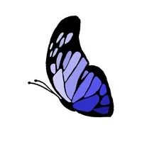 Butterfly SmartCity Network icon