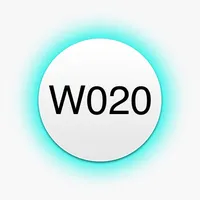 W020 Alarm icon