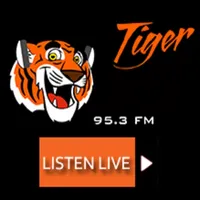 KIJV Tiger 95 Huron Radio icon